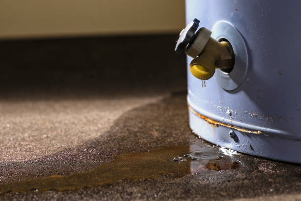 Best Water damage restoration near me  in Williamstown, PA