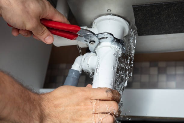Best Flooded house restoration  in Williamstown, PA