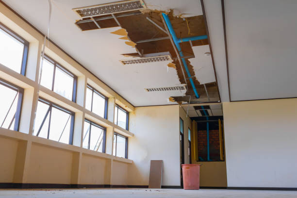 Best 24/7 water damage repair  in Williamstown, PA