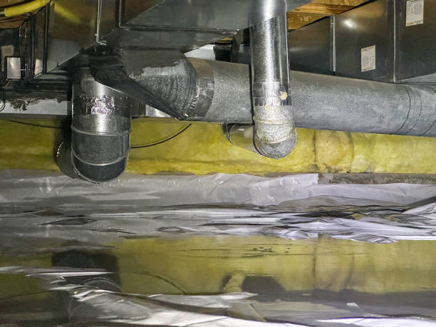 Best Flood restoration services  in Williamstown, PA