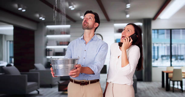 Best 24/7 water damage repair  in Williamstown, PA
