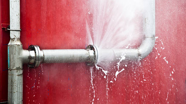 Best Flood damage cleanup  in Williamstown, PA